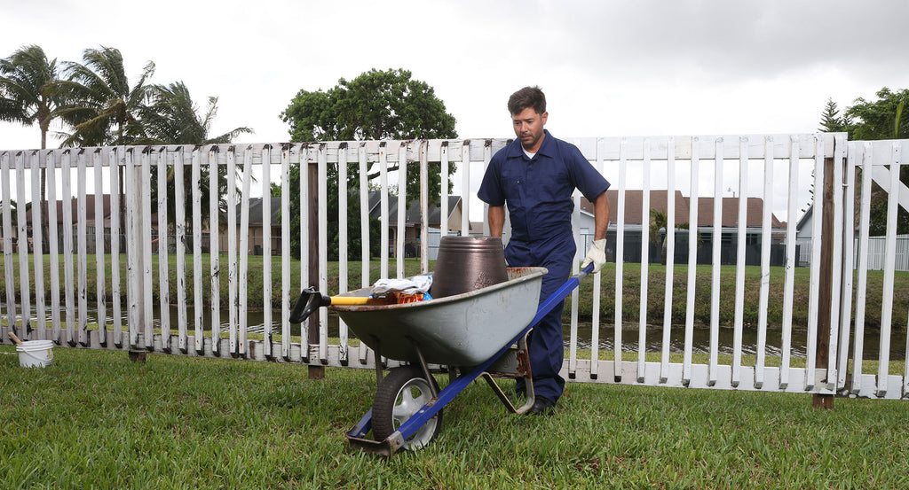 4 Landscaping Design Tips For Beginners